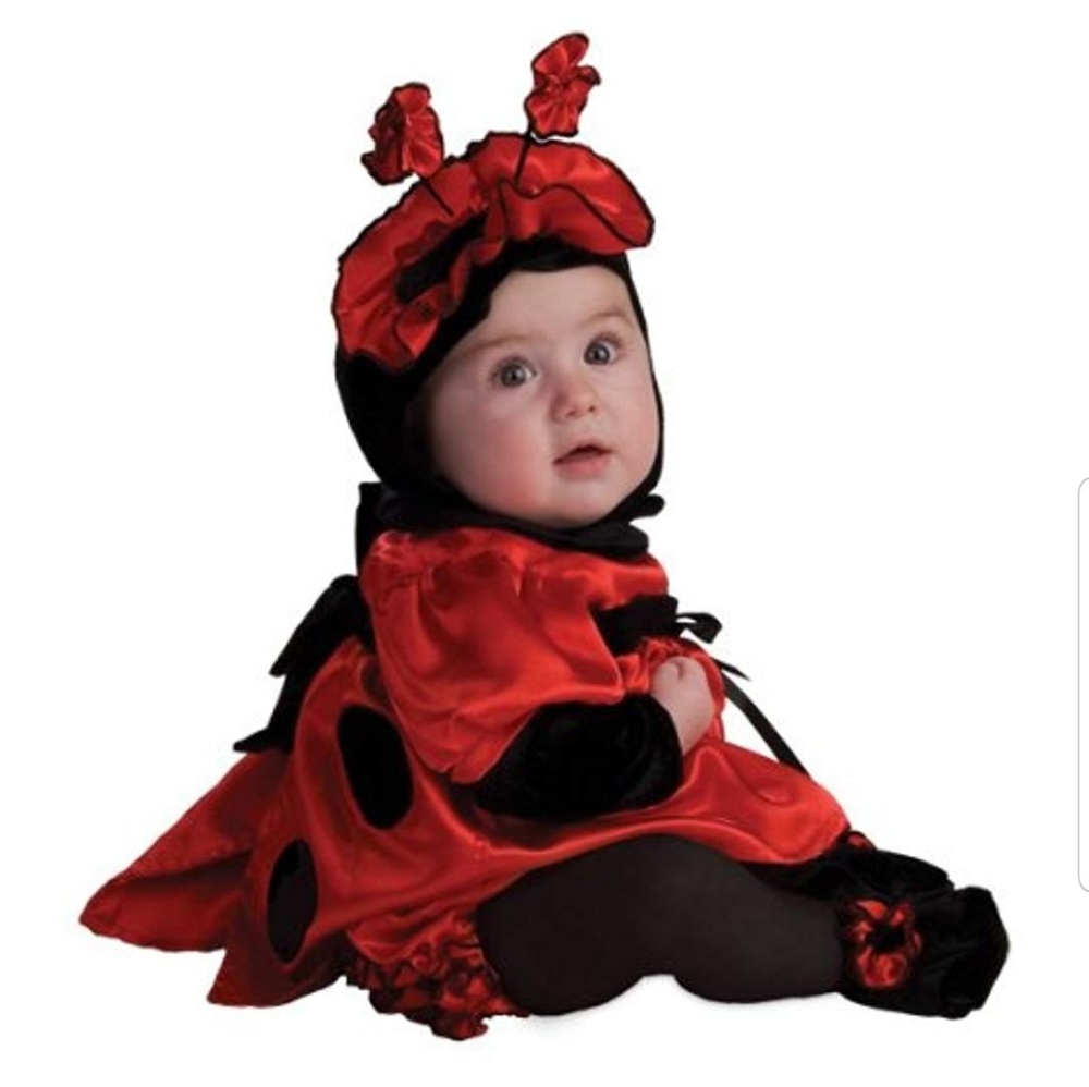 🎃Noah's Ark Ladybug 🎃Halloween🎃 Costume 12-18mo